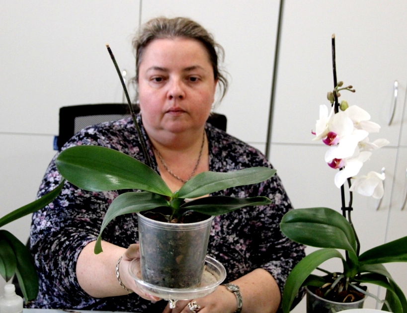 Юлия Сергеевна Андреева, директор Досугового клуба "Дом Улитки" на семинаре по выращиванию орхидей. МООИ "Пилигрим".